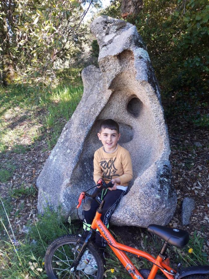 Fumu Ludurru Farm Stay Padru Dış mekan fotoğraf