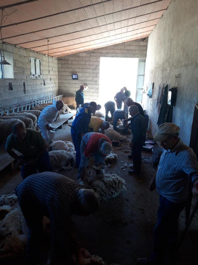 Fumu Ludurru Farm Stay Padru Dış mekan fotoğraf