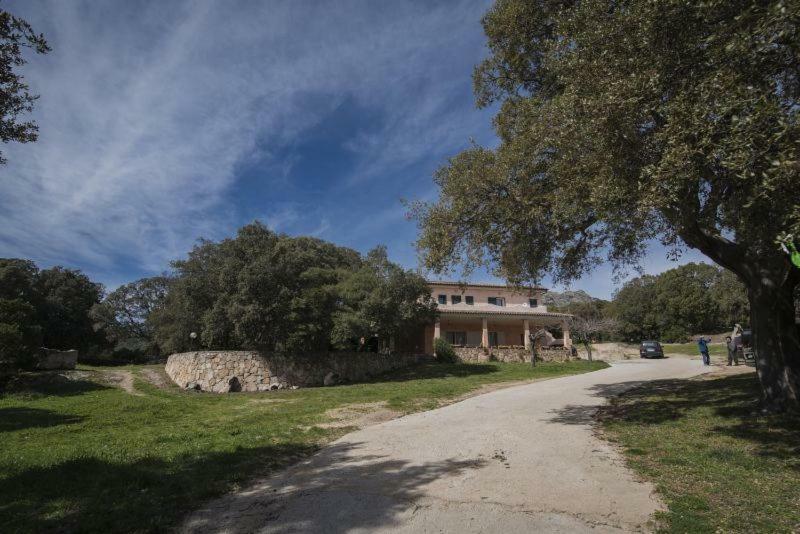 Fumu Ludurru Farm Stay Padru Dış mekan fotoğraf