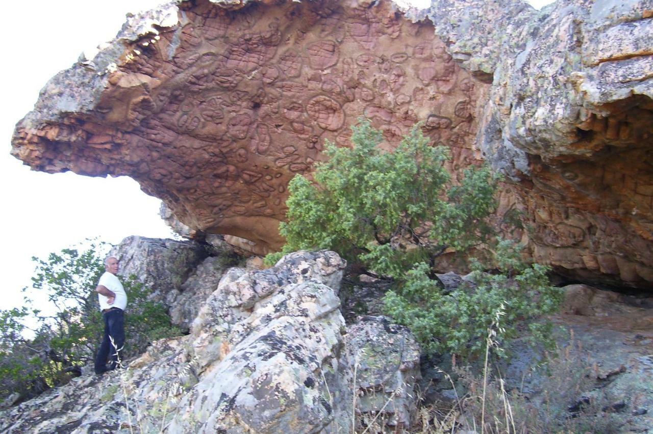 Fumu Ludurru Farm Stay Padru Dış mekan fotoğraf